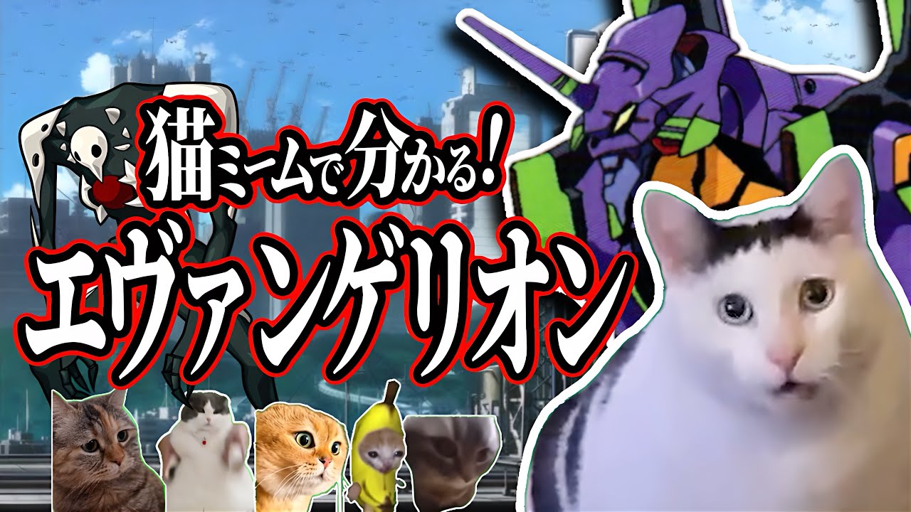 猫ミームでわかる！エヴァンゲリオン新劇場版【猫ミーム】