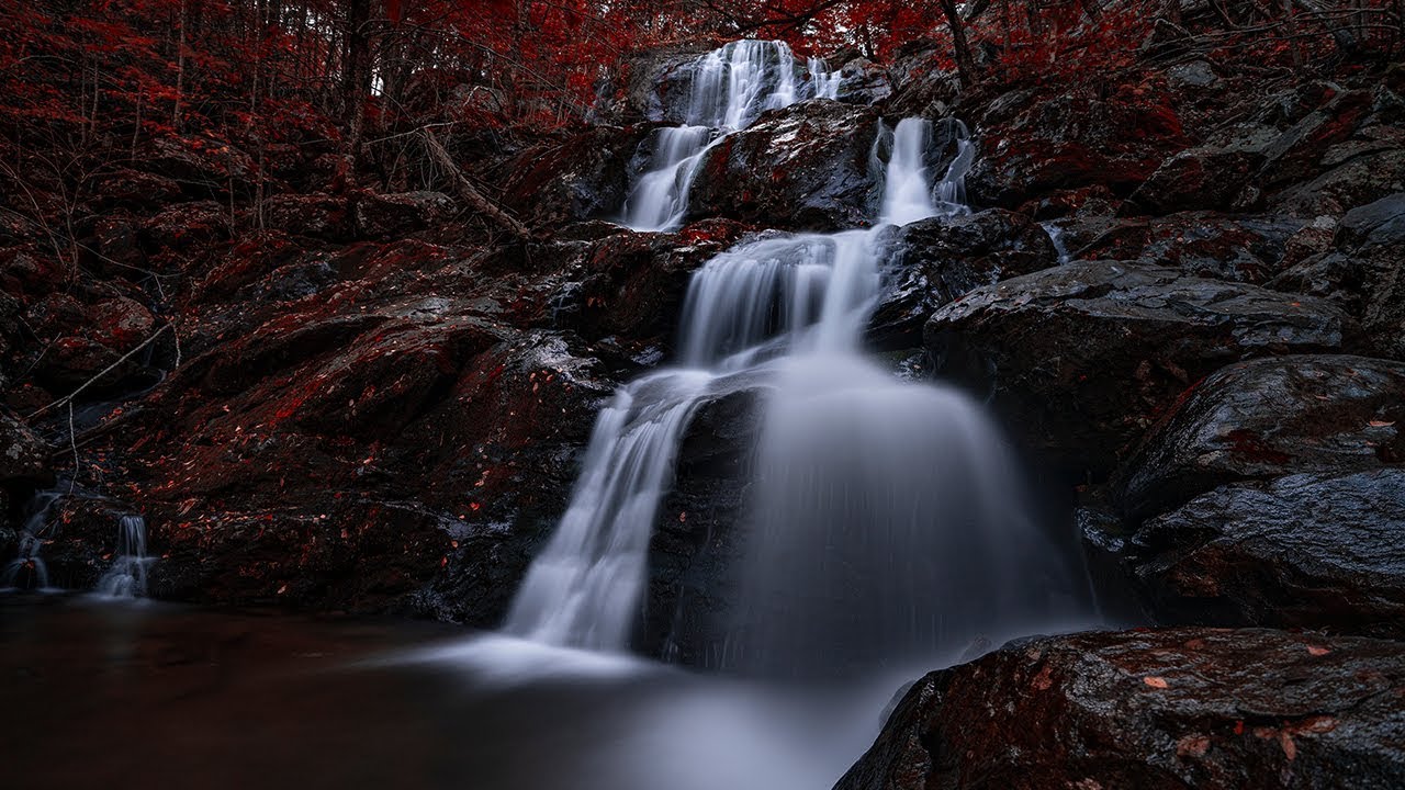 Forest Waterfall Ambience Sounds in Nature