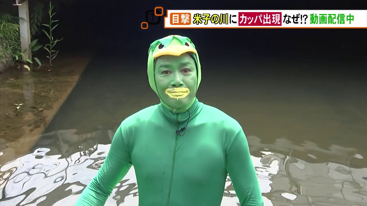 なぜ 米子の川にカッパ出現 しかも動画配信中 Youtube なぜ 米子の川にカッパ出現 しかも動画配信中 Youtube