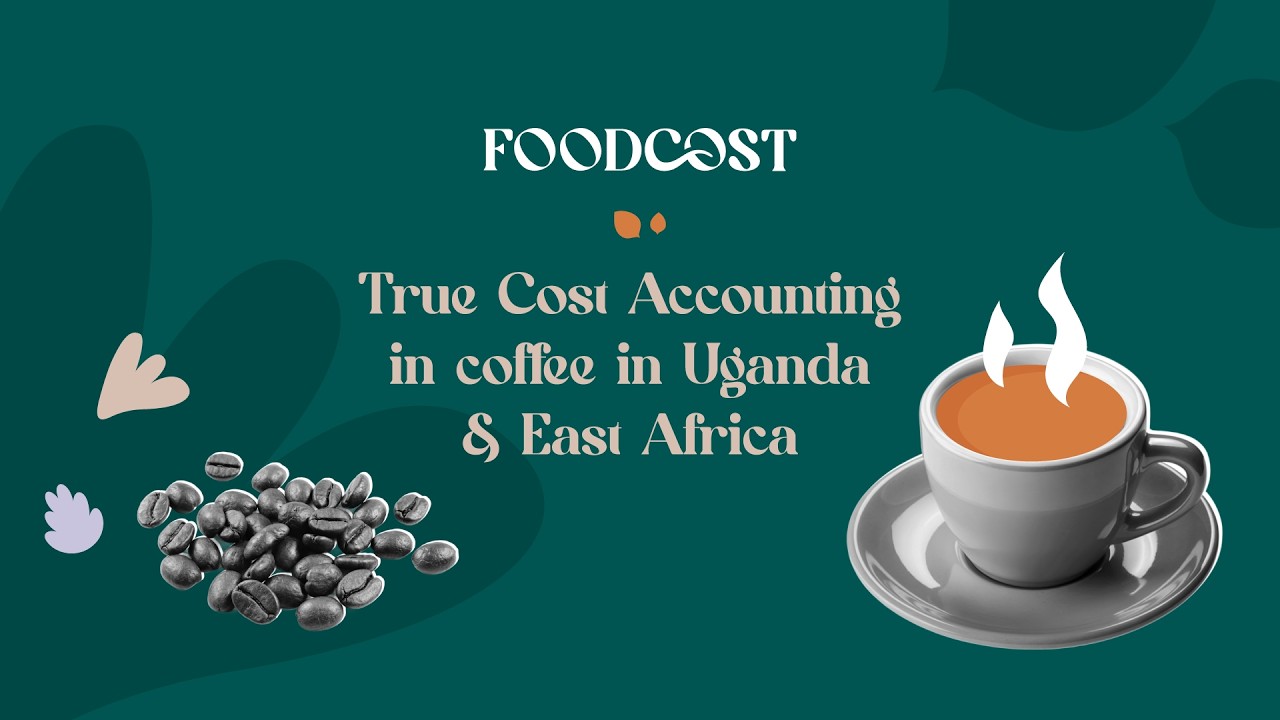 Still from Case Study 1 | True Cost Accounting in coffee in Uganda & East Africa