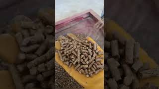 Flash Talaş Kurutma Ve Pelet Pres Makinaları 0535 369 0018