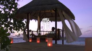 Banyan Tree | Rediscover the Romance of Travel
