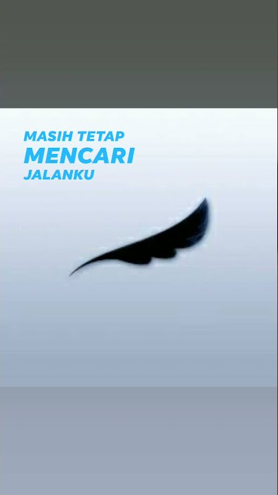 status wa biasa - Peterpan Membebaniku