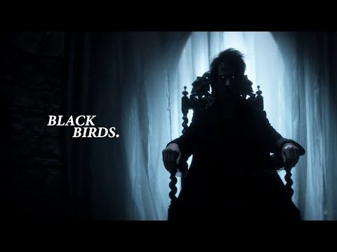 morpheus || blackbirds.