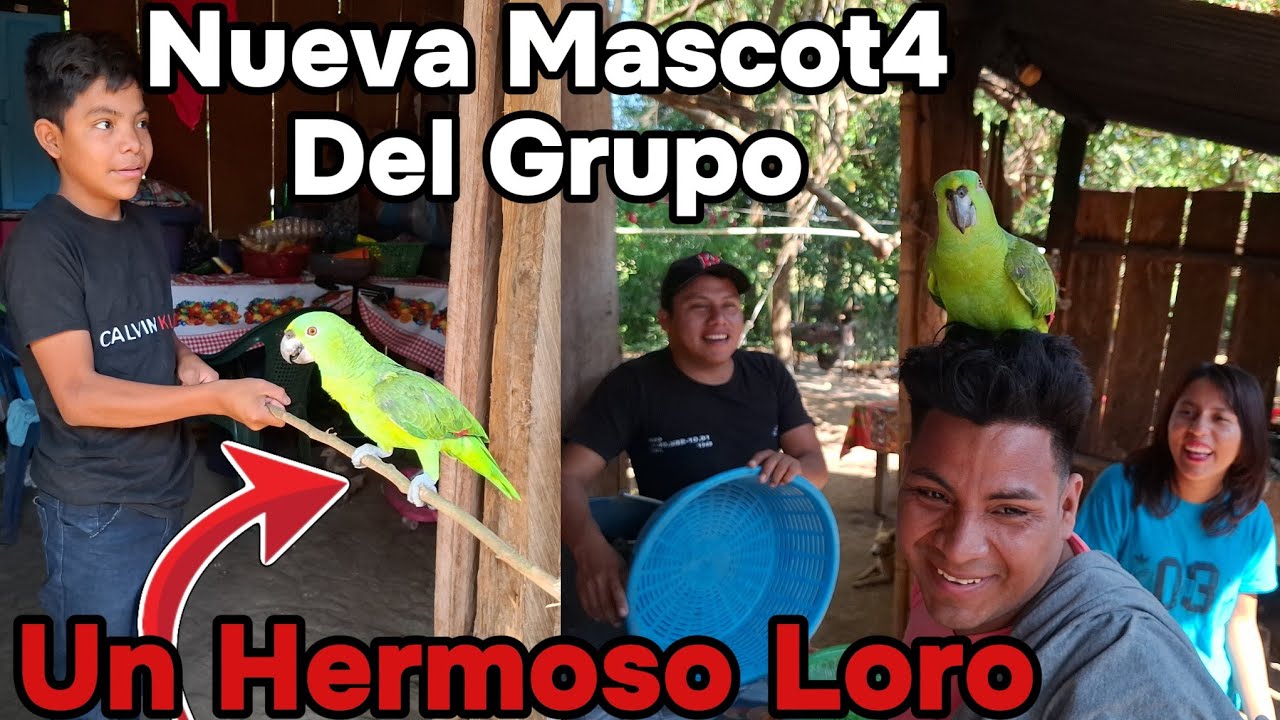 ❤️Andres Les Muestr4 Su M4scota😱Lucas No Queda Asombrado🥹