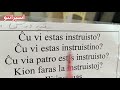 #اسپرانتو #esperanto 🦜