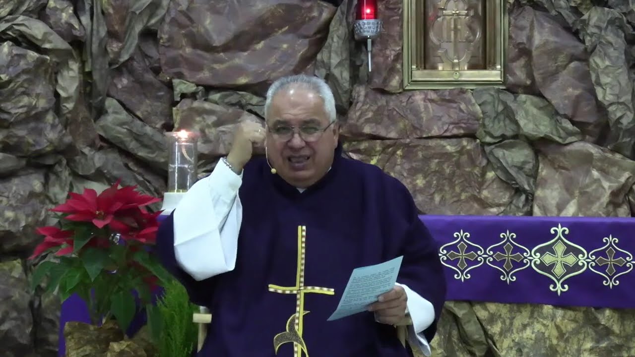 No desperdicies tus sufrimientos, ofrécelos...