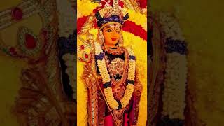 சந்தோசமாக இரு நான் இருக்கிறேன் #shortsfeed #....