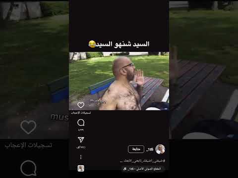 مصطفى الحجي السيد شنو السيد