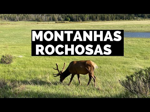 Vídeo: Parques Nacionais das Montanhas Rochosas