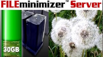 Server Optimization | FILEminimizer Server