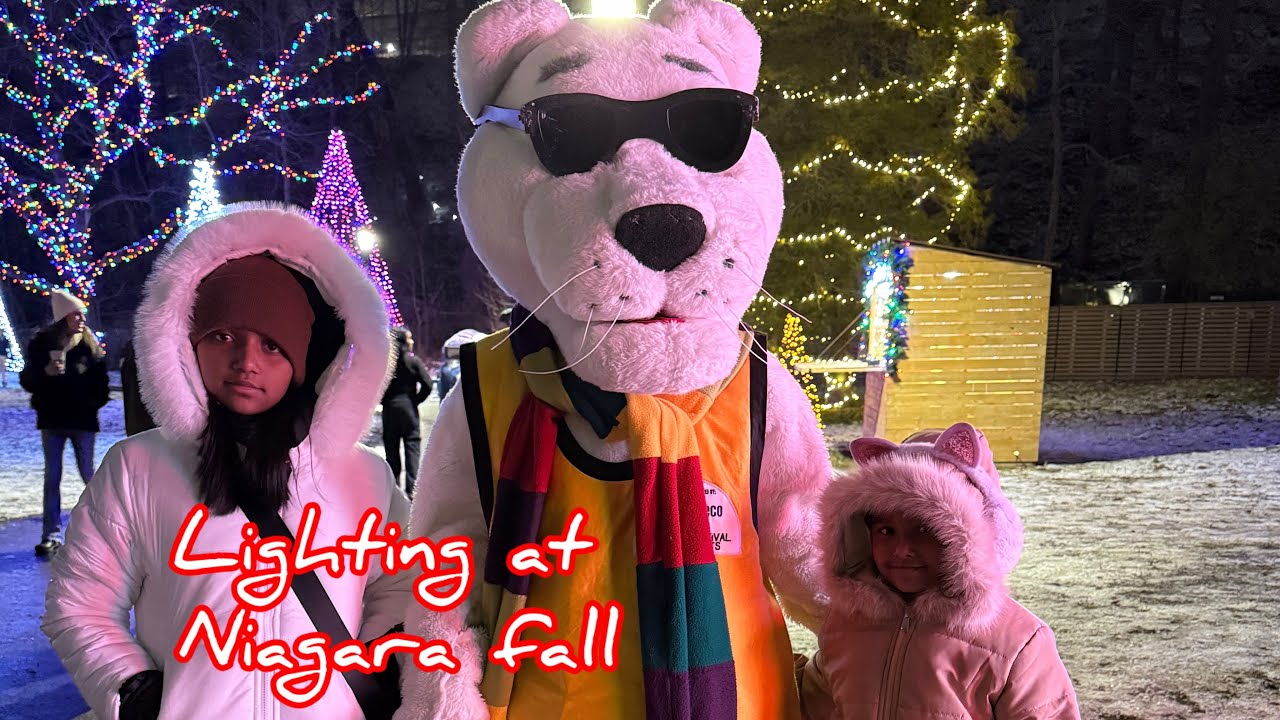 Went to see lightings at Niagara falls|snow|family outing