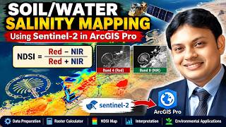 Mapping Salinity Using Sentinel-2 & ArcGIS Pro | NDSI