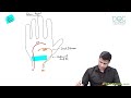 14. Palmer Arches | Upper Limb Anatomy | Dr. Azam | Medical Maven