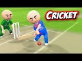3d anim comedy  cricket  india vs pakistan  last over