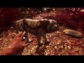 Evolution Of Fangs For Hire And Rideable Creatures In Far Cry