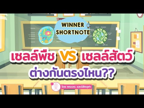 วีดีโอ: เซลล์ถือว่ามีชีวิตหรือไม่?