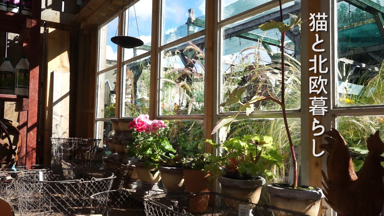 北欧暮らし🌿スウェーデン・ハーロンカーカでFika (フィーカ)の時間 / ベリー摘み / 園芸店の北欧雑貨 / 海外生活vlog