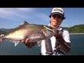 カンパチやハマチが釣り放題!管理釣り場でライトショアジギング/四季の釣り/2015年6月26日OA