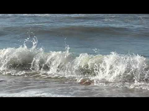 Как сейчас выглядит азовское море