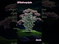Kannazhaga Song Lyrics 