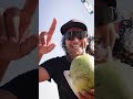 Welcome to Cauipe 🌴 #gkakiteworldtour #gkafreestyle #gkacauipe #kiteboarding