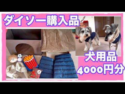 【ダイソーの犬グッズ】100均で何でも揃う!コスパ最高