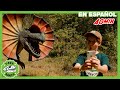 Parque de T-Rex | Dinosaurios en la Fogata