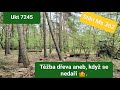 Tba deva vdy to nejde podle plnu  logging pine zetor ukt 7245 agama aga 2 jpforest8882