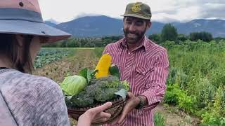Harvest for Hunger video Jenny Swank videography