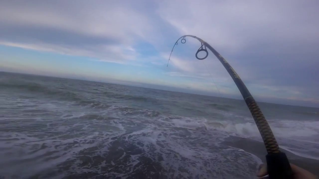 Fishing Edisto [Catching Flounder, Stingrays, Sharks and Reds] YouTube