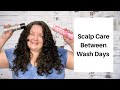 Scalp Care Between Wash Days for Wavy and Curly Hair