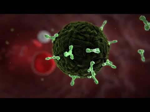 Vídeo: Diferencia Entre Meningitis Viral Y Bacteriana