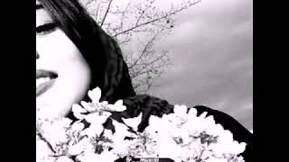 Sinan Akcil Melda Demesinler