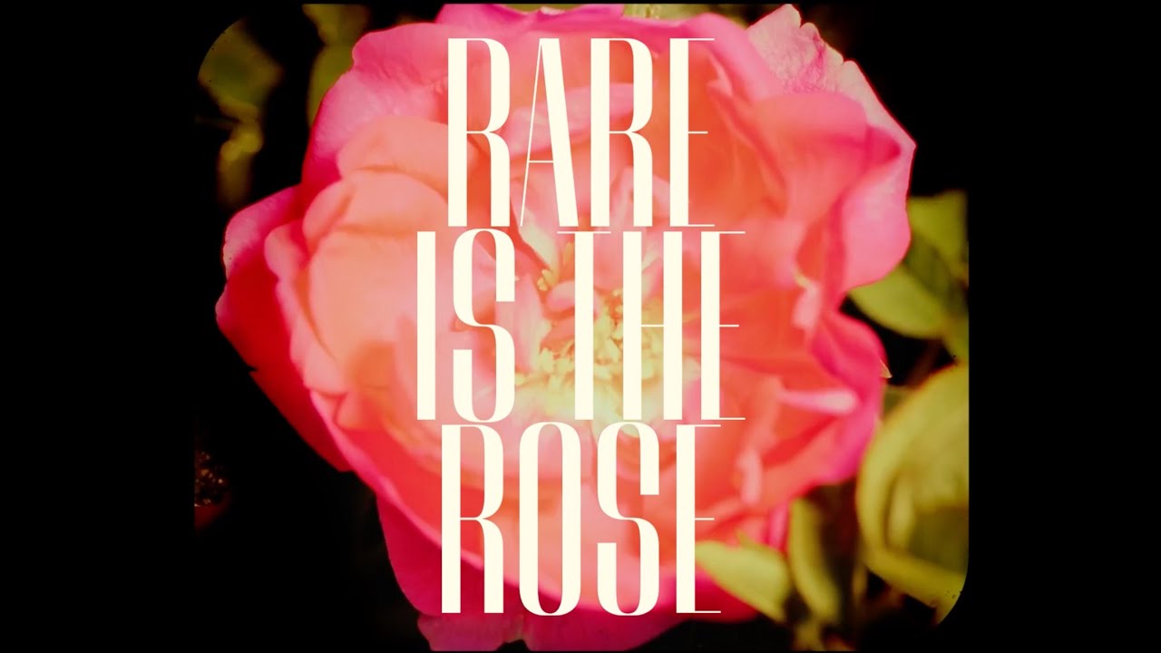 Amouage - Rare is the Rose