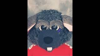 Florida Panthers Mascot Victor E Ratt Nhl Facts