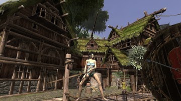 Age of Conan: Female Versus Male Herald of Xolti Stance Animtions