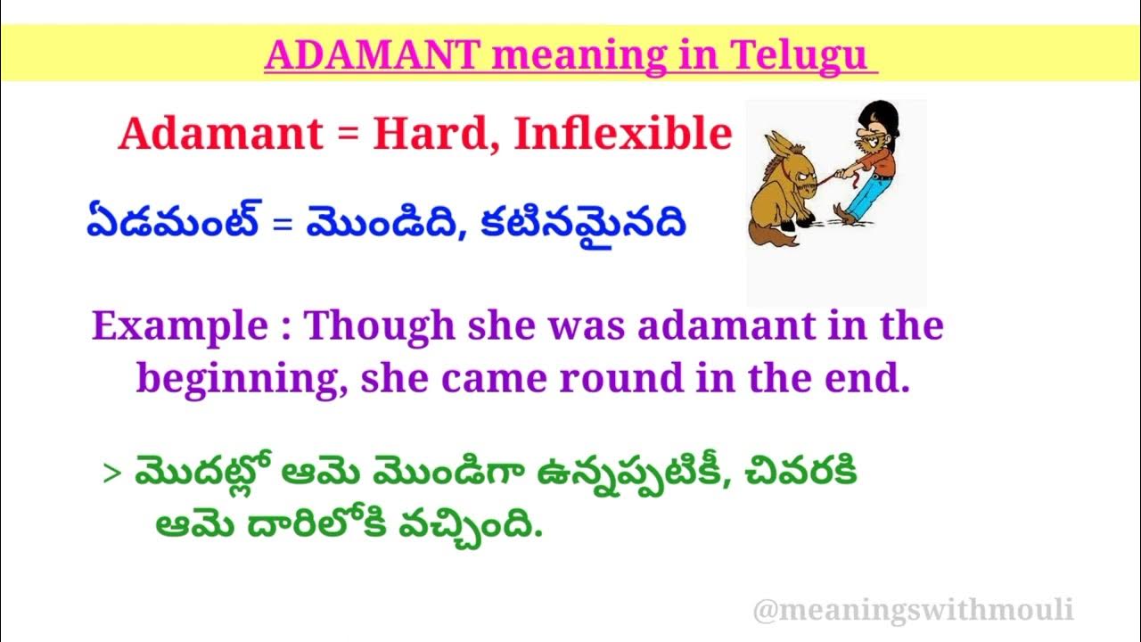 adamant-meaning-in-telugu-adamant-telugu-youtube