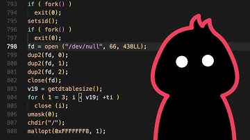 Innocent Looking Backdoor Found in Universities and Government Systems