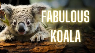 Unlocking Secrets: 10 Amazing Facts about Koalas. by Striking Animal Kingdom 66 views 1 month ago 4 minutes, 53 seconds