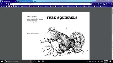 016 PDF to SMART notebook file