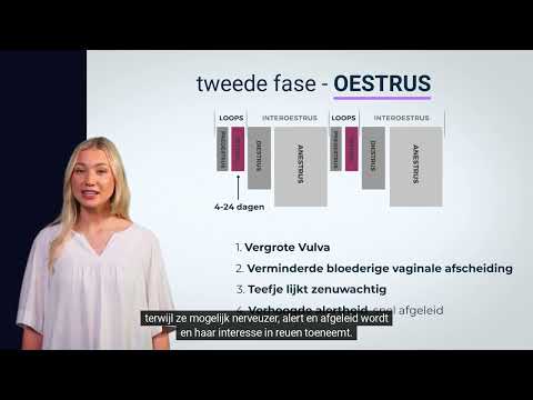 Video: Wat is die tekens van bronstigheid?