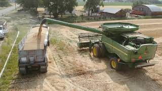 Wheat harvest 2021 underway
