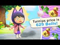 Selling My Turnips for INSANE PROFITS in Animal Crossing New Horizons