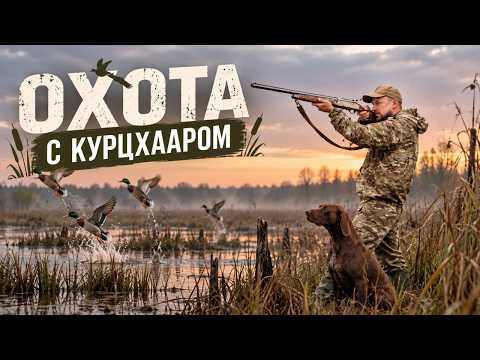 STALKING DUCK HUNT!!!! DUCK IN DARK BEER WITH MUSHROOMS!!!