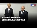 Comment poutine nargue lotan  kaliningrad