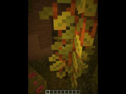 Minecraft 1.18 Lush Caves in RTX #shorts