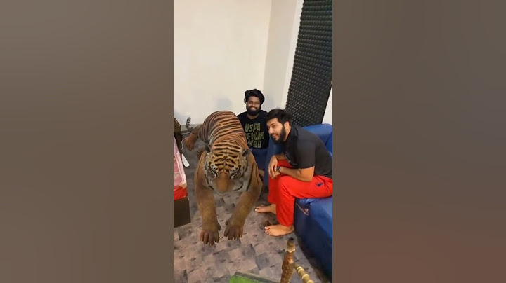 sukki dc new funny video sukki video dc video we are one new video sukki dc new video 2022