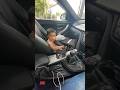 Would you ride with daddy  shorts short youtubeshorts shortsfeed shortsviral trending