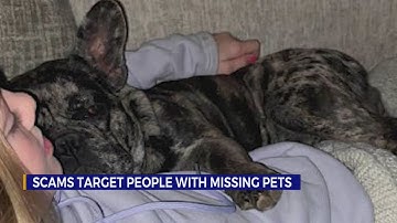 Scams target people with missing pets